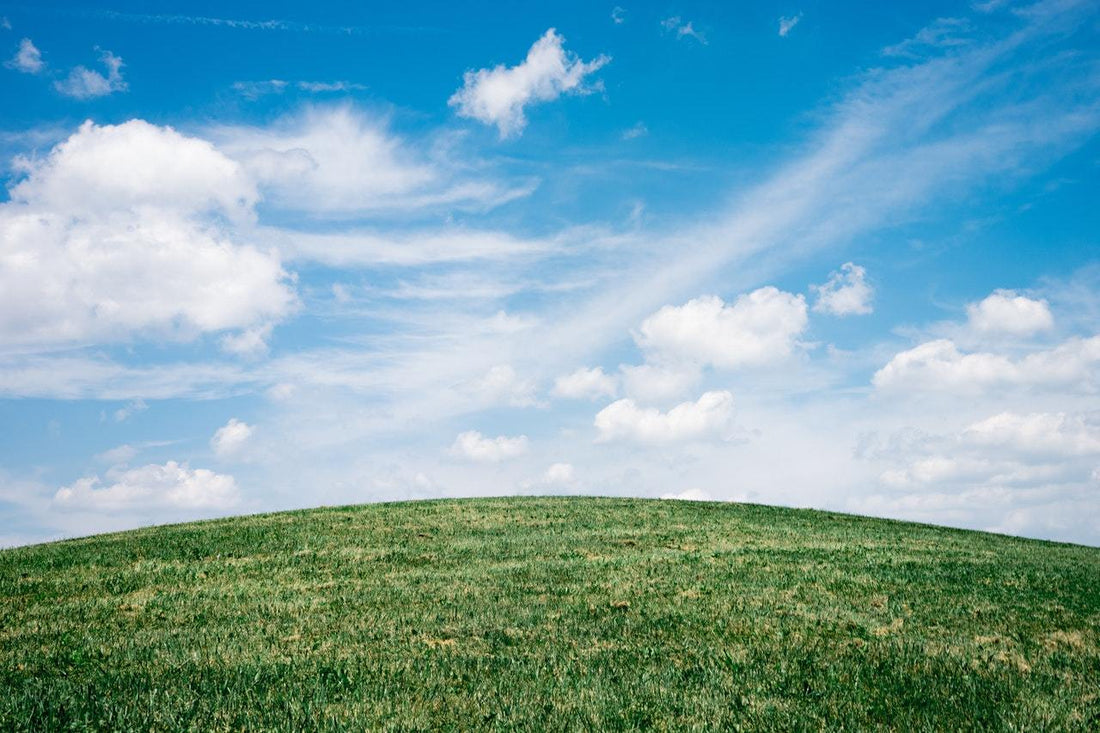 Happy Earth Day! What Makes a Product Good?