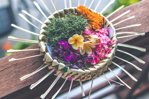International Women’s Day: 5 Women Paving the Way to a Greener Future