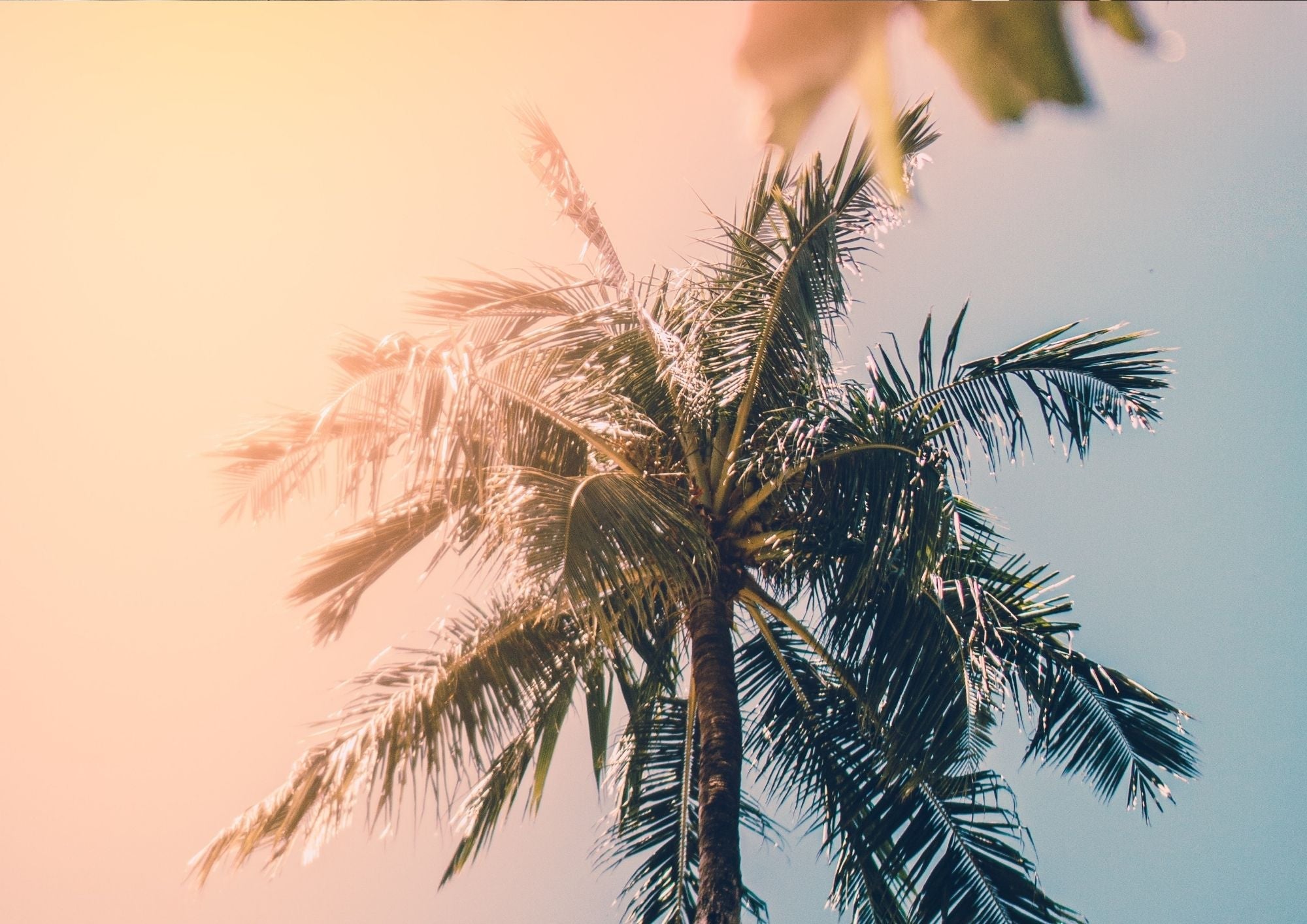 Sustainable Summer Essentials