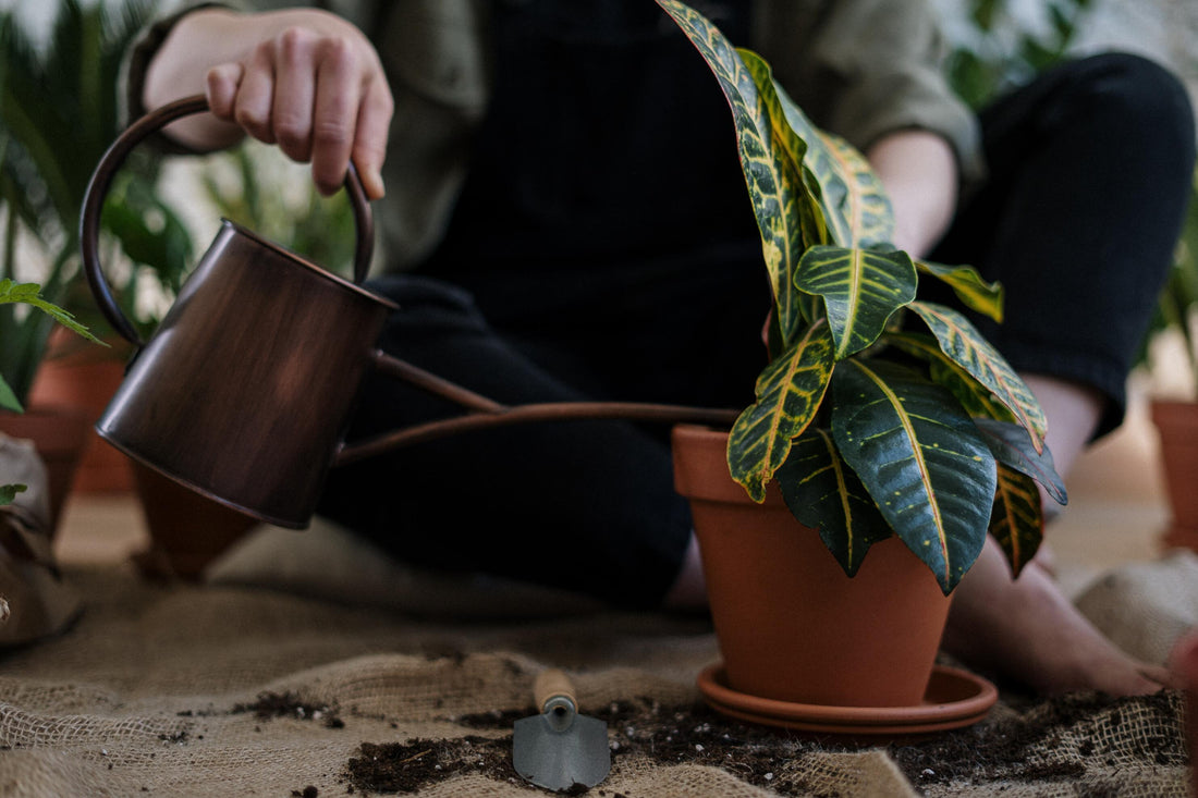 What Is Vermicomposting & How To Do It: A Guide